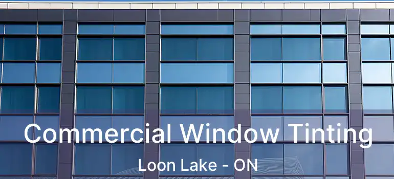  Commercial Window Tinting Loon Lake - ON