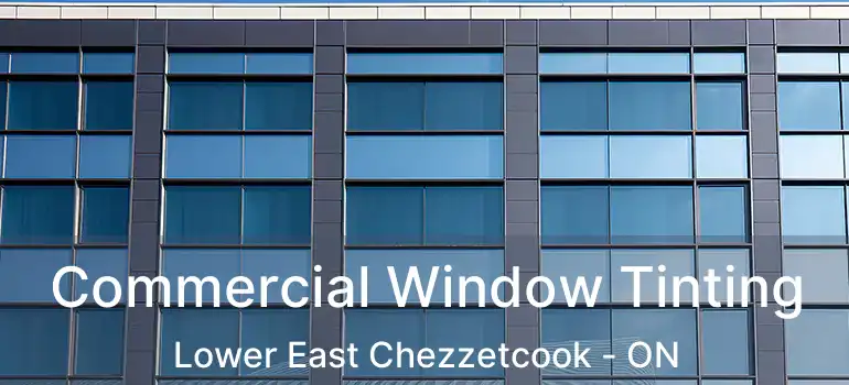  Commercial Window Tinting Lower East Chezzetcook - ON