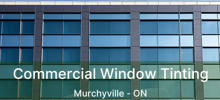  Commercial Window Tinting Murchyville - ON