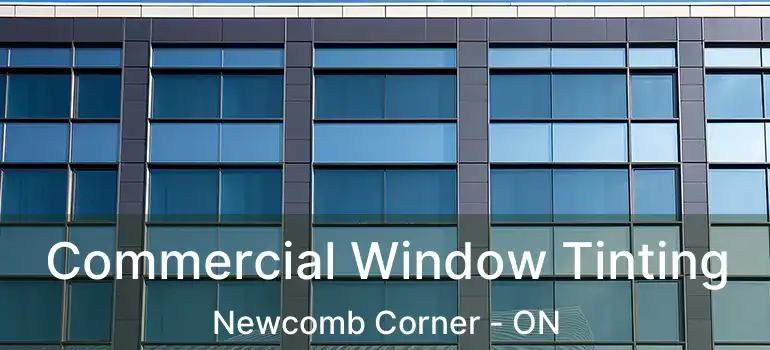  Commercial Window Tinting Newcomb Corner - ON