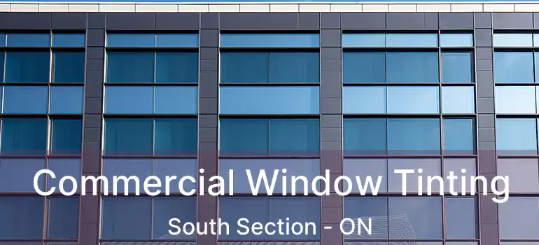  Commercial Window Tinting South Section - ON