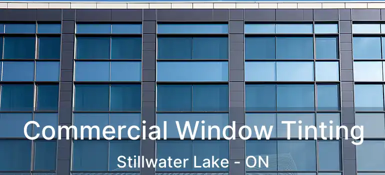  Commercial Window Tinting Stillwater Lake - ON