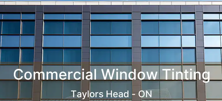  Commercial Window Tinting Taylors Head - ON