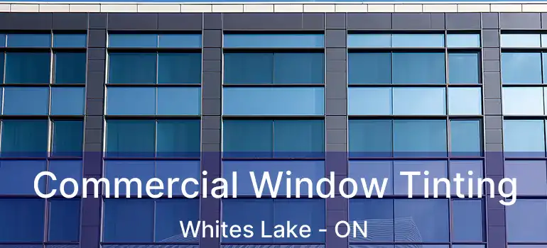  Commercial Window Tinting Whites Lake - ON
