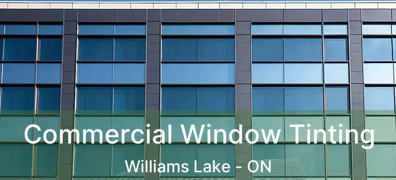  Commercial Window Tinting Williams Lake - ON