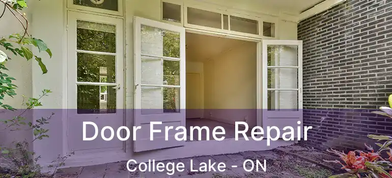  Door Frame Repair College Lake - ON