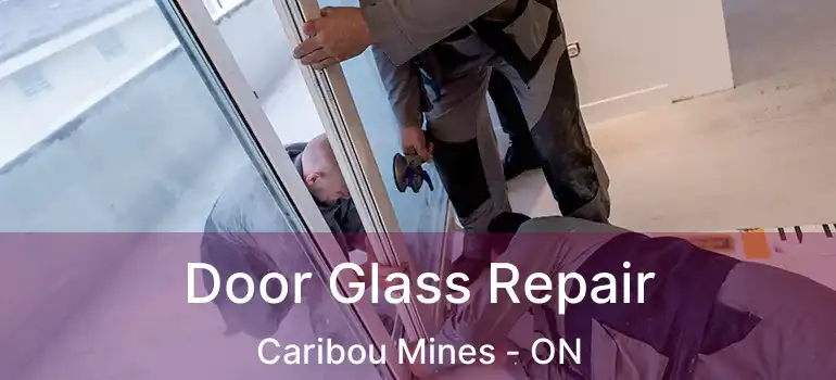  Door Glass Repair Caribou Mines - ON