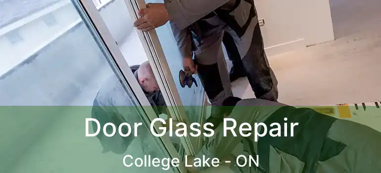  Door Glass Repair College Lake - ON