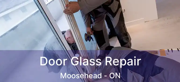  Door Glass Repair Moosehead - ON