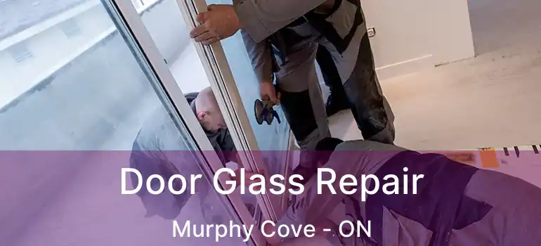 Door Glass Repair Murphy Cove - ON
