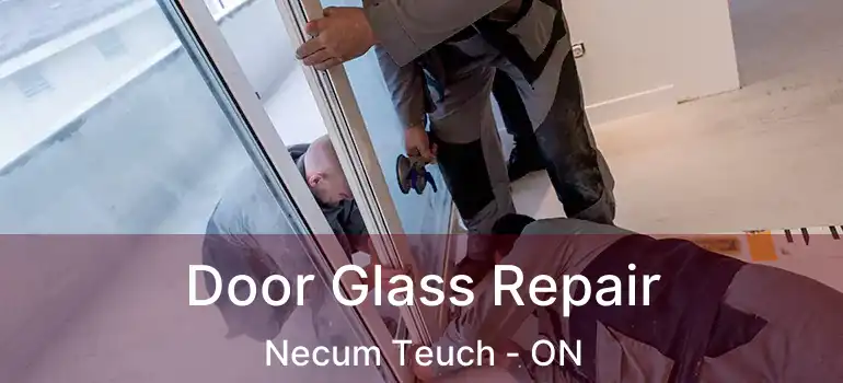  Door Glass Repair Necum Teuch - ON