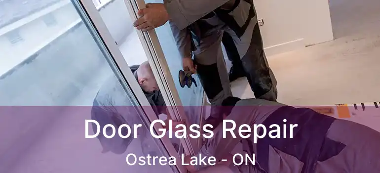  Door Glass Repair Ostrea Lake - ON