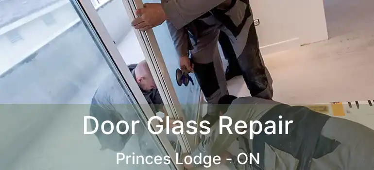  Door Glass Repair Princes Lodge - ON