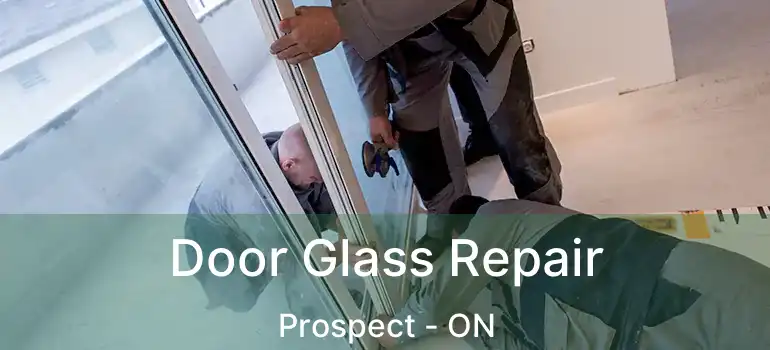 Door Glass Repair Prospect - ON