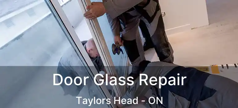  Door Glass Repair Taylors Head - ON