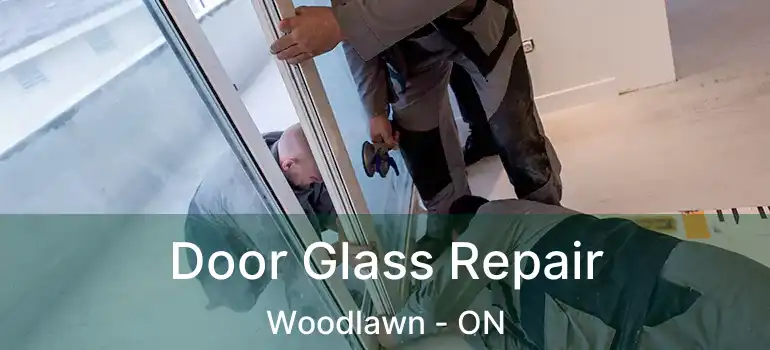  Door Glass Repair Woodlawn - ON