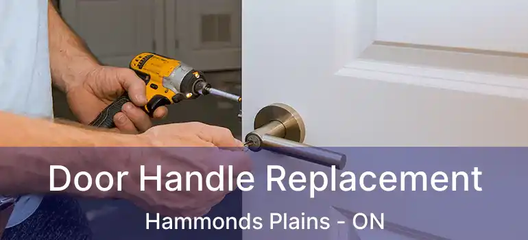  Door Handle Replacement Hammonds Plains - ON
