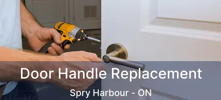  Door Handle Replacement Spry Harbour - ON
