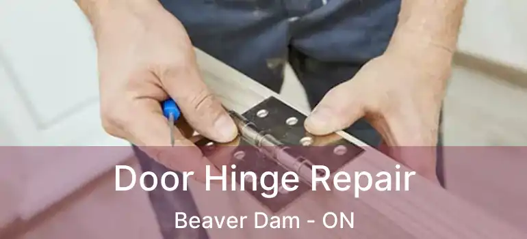  Door Hinge Repair Beaver Dam - ON