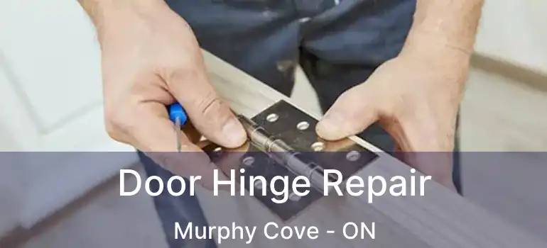  Door Hinge Repair Murphy Cove - ON
