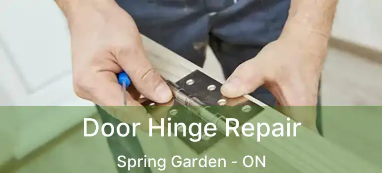  Door Hinge Repair Spring Garden - ON