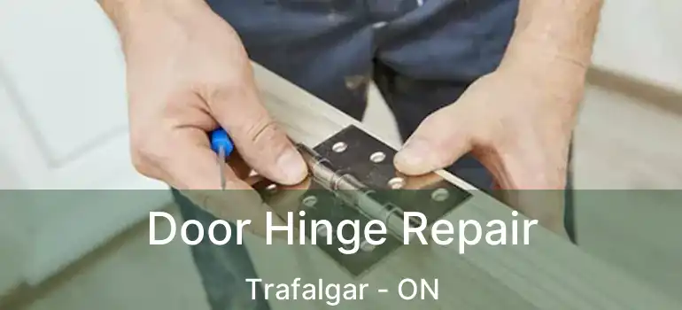  Door Hinge Repair Trafalgar - ON