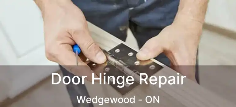  Door Hinge Repair Wedgewood - ON