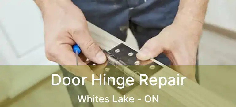  Door Hinge Repair Whites Lake - ON