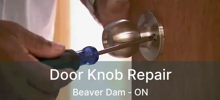  Door Knob Repair Beaver Dam - ON