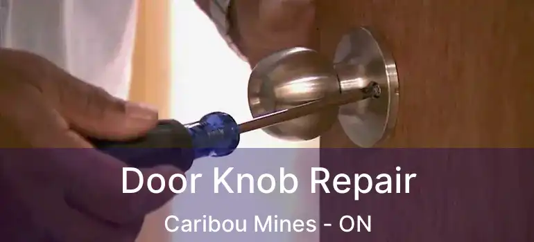  Door Knob Repair Caribou Mines - ON