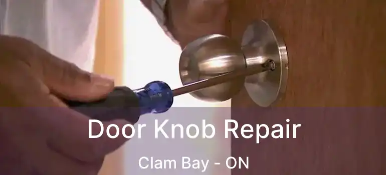  Door Knob Repair Clam Bay - ON