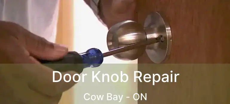  Door Knob Repair Cow Bay - ON