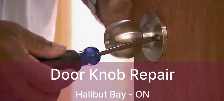  Door Knob Repair Halibut Bay - ON