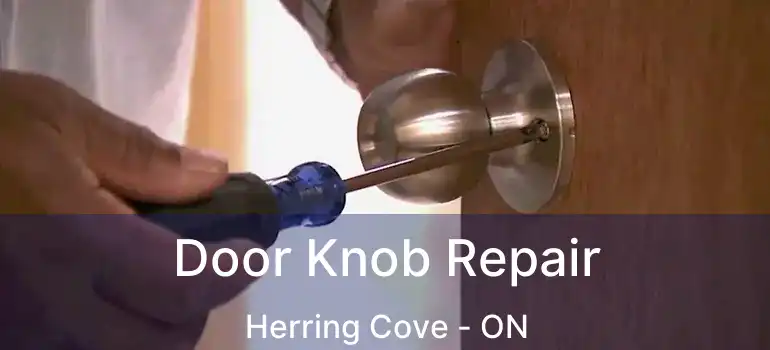 Door Knob Repair Herring Cove - ON