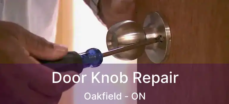  Door Knob Repair Oakfield - ON