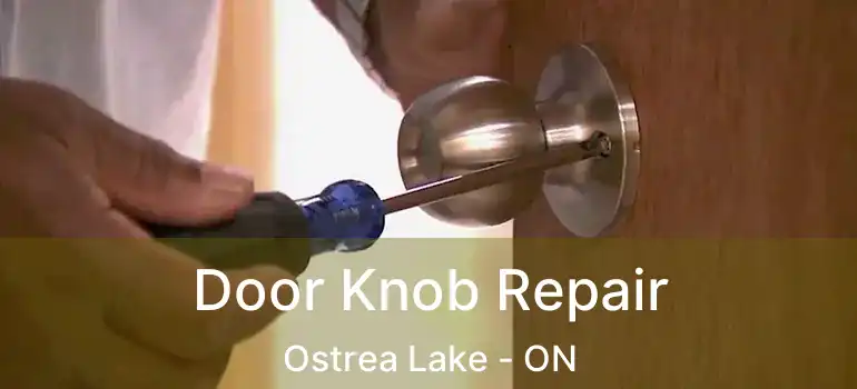 Door Knob Repair Ostrea Lake - ON