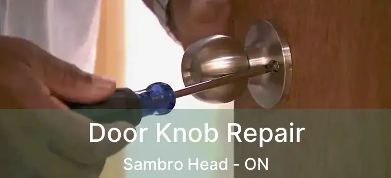  Door Knob Repair Sambro Head - ON