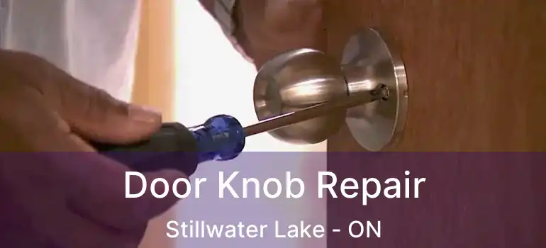  Door Knob Repair Stillwater Lake - ON