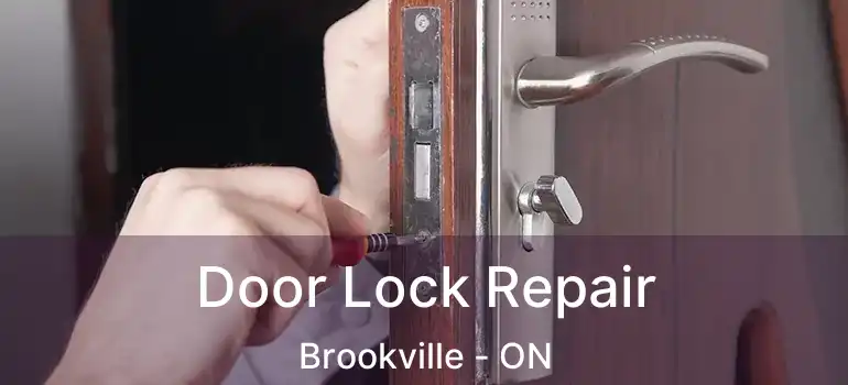  Door Lock Repair Brookville - ON