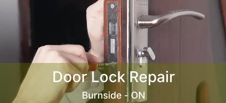  Door Lock Repair Burnside - ON