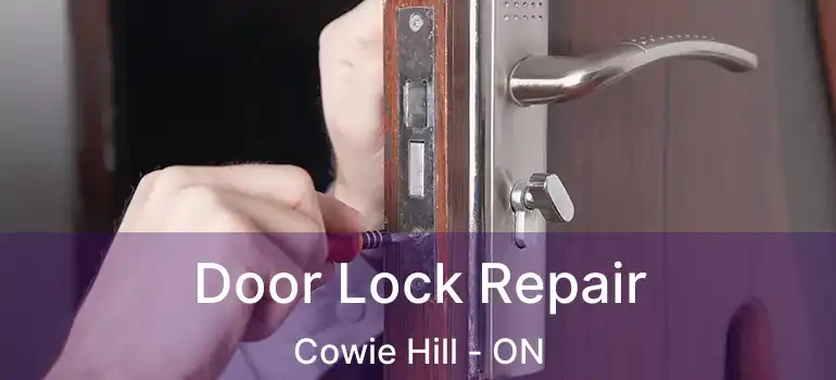  Door Lock Repair Cowie Hill - ON