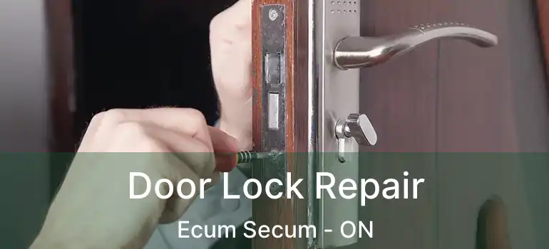  Door Lock Repair Ecum Secum - ON