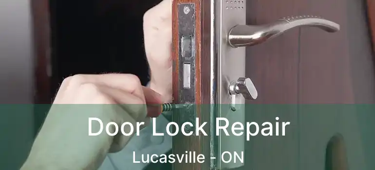  Door Lock Repair Lucasville - ON