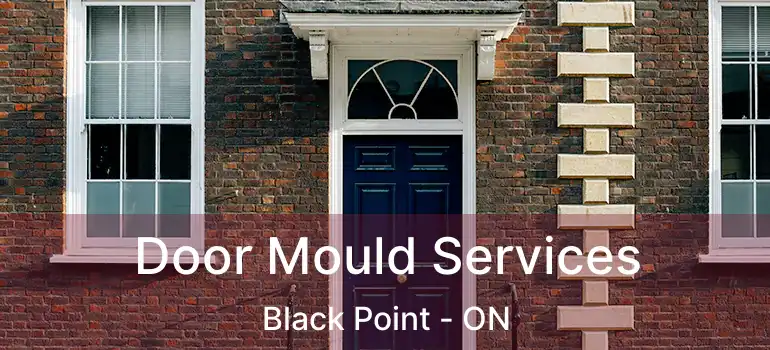  Door Mould Services Black Point - ON