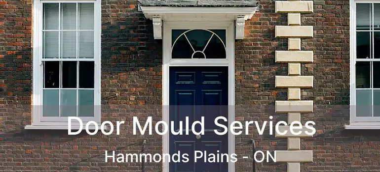  Door Mould Services Hammonds Plains - ON