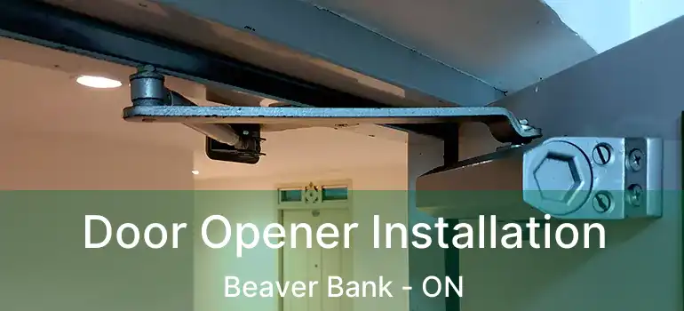  Door Opener Installation Beaver Bank - ON