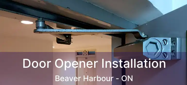  Door Opener Installation Beaver Harbour - ON