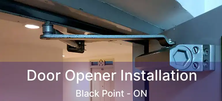  Door Opener Installation Black Point - ON
