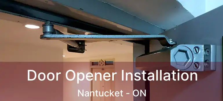  Door Opener Installation Nantucket - ON