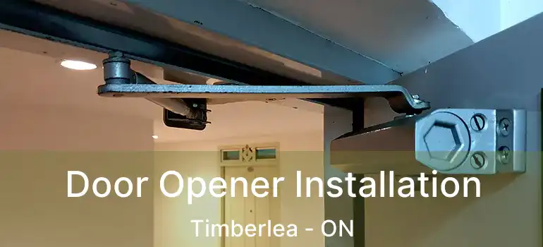  Door Opener Installation Timberlea - ON